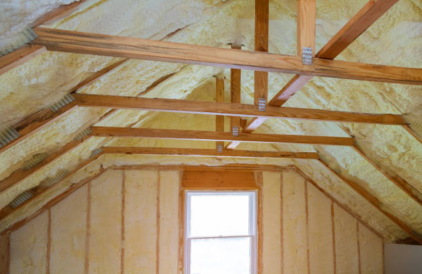 Best Geographic-Specific Insulation Services in Wilder, ID