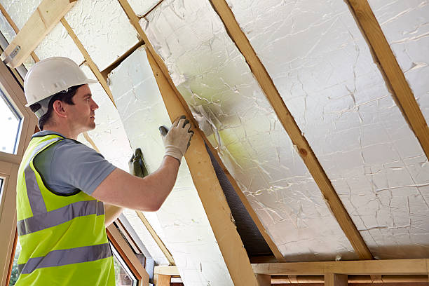 Best Insulation Maintenance and Repair in Wilder, ID